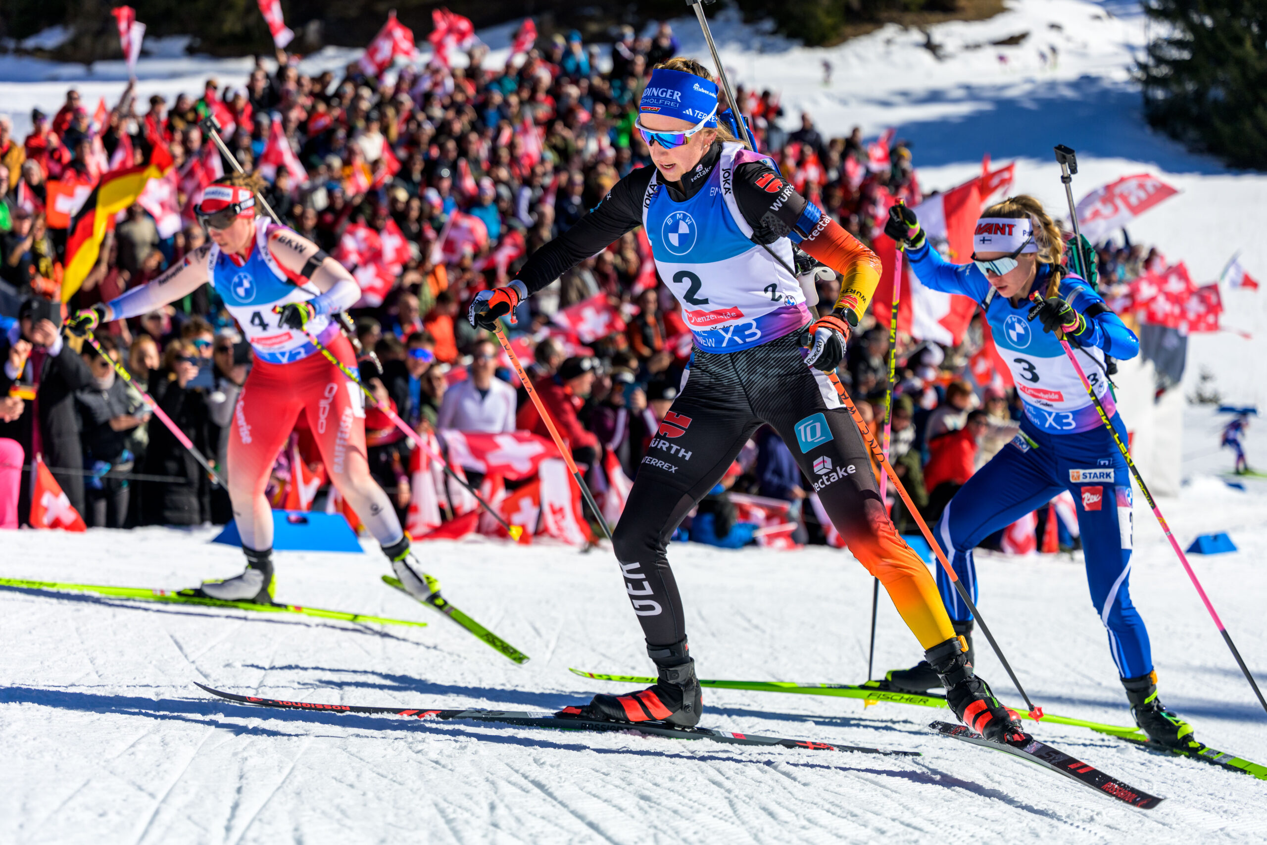 哈利伯顿展 哈利伯顿展